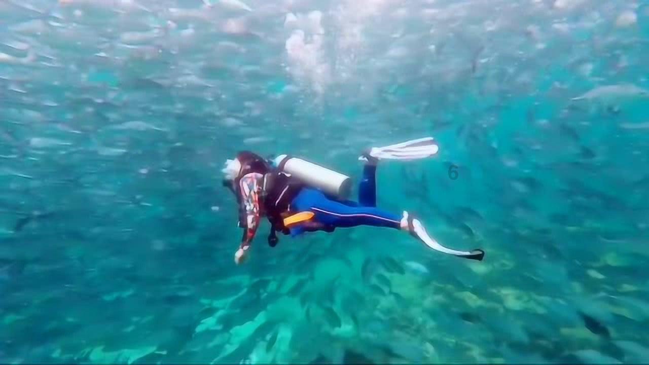 逃出海洋城堡